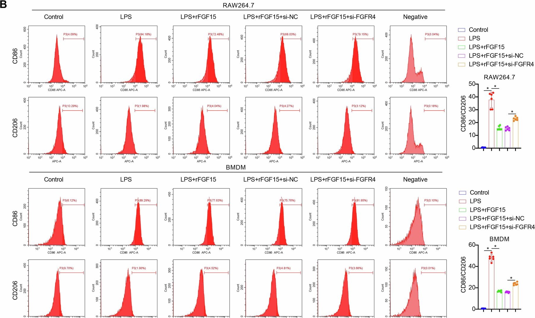 Fig.3.B showing Flow cytometry/Cell sorting in a Mus musculus (House mouse) sample from the publication: FGF15/FGFR4 signaling suppresses M1 macrophage polarization and multi-organ inflammation in septic mice by inhibiting H3K18 lactylation-driven Irf7 expression through NF2-Hippo activation.