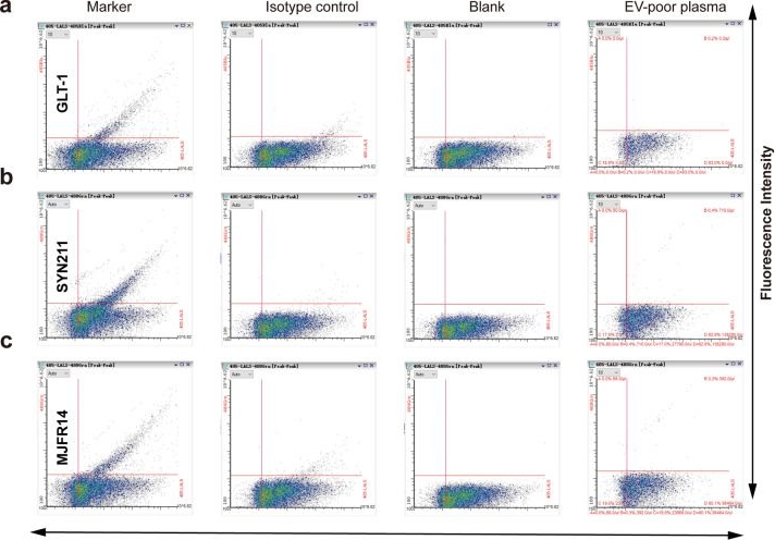 Fig.6.A showing Flow cytometry/Cell sorting from the publication: α-Synuclein-carrying astrocytic extracellular vesicles in Parkinson pathogenesis and diagnosis.
