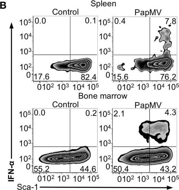 Fig.4.B showing Flow cytometry/Cell sorting from the publication: Efficacy of a Virus-Like Nanoparticle As Treatment for a Chronic Viral Infection Is Hindered by IRAK1 Regulation and Antibody Interference.