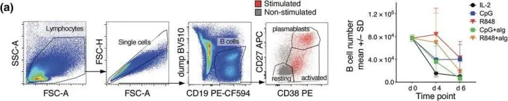 Fig.1.A showing Flow cytometry/Cell sorting from the publication: Distinguishing naive- from memory-derived human B cells during acute responses.