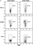Fig.2.A showing Flow cytometry/Cell sorting in a Mus musculus (House mouse) sample from the publication: 1810011o10 Rik Inhibits the Antitumor Effect of Intratumoral CD8+ T Cells through Suppression of Notch2 Pathway in a Murine Hepatocellular Carcinoma Model.