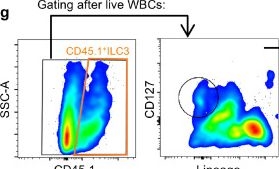 Fig.2.G showing Flow cytometry/Cell sorting in a Mus musculus (House mouse) sample from the publication: Trained Immunity in Bladder ILC3s Enhances Mucosal Defense Against Recurrent Urinary Tract Infections.