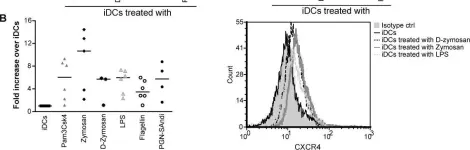 Fig.5.B showing Flow cytometry/Cell sorting from the publication: Dectin-1/TLR2 and NOD2 agonists render dendritic cells susceptible to infection by X4-using HIV-1 and promote cis-infection of CD4(+) T cells.