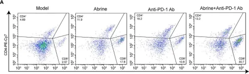 Fig.7.A showing Flow cytometry/Cell sorting from the publication: Abrine, an IDO1 inhibitor, suppresses the immune escape and enhances the immunotherapy of anti-PD-1 antibody in hepatocellular carcinoma.