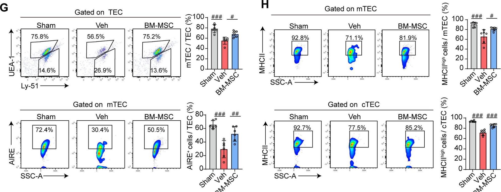 Fig.1.G showing Flow cytometry/Cell sorting from the publication: BM-MSC-derived migrasomes reverse stroke-induced thymic atrophy and immunosuppression via Pin1 delivery to thymic epithelial cells.