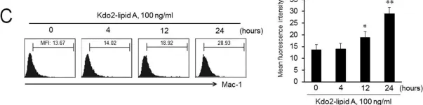 Fig.1.C showing Flow cytometry/Cell sorting from the publication: TLR4-mediated expression of Mac-1 in monocytes plays a pivotal role in monocyte adhesion to vascular endothelium.