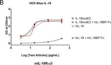 Fig.1.B from the publication: Targeting highly attenuated IL-18 to PD-1 for enhanced anti-tumor activity.
