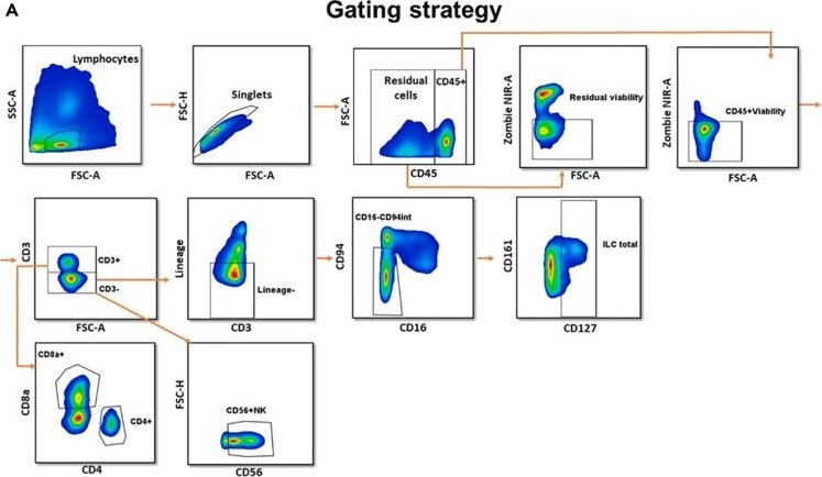 CD56 antibodies - Antibody search engine - CiteAb