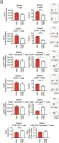 Fig.4.B showing Flow cytometry/Cell sorting in a Mus musculus (House mouse) sample from the publication: TLR9 Monotherapy in Immune-Competent Mice Suppresses Orthotopic Prostate Tumor Development.