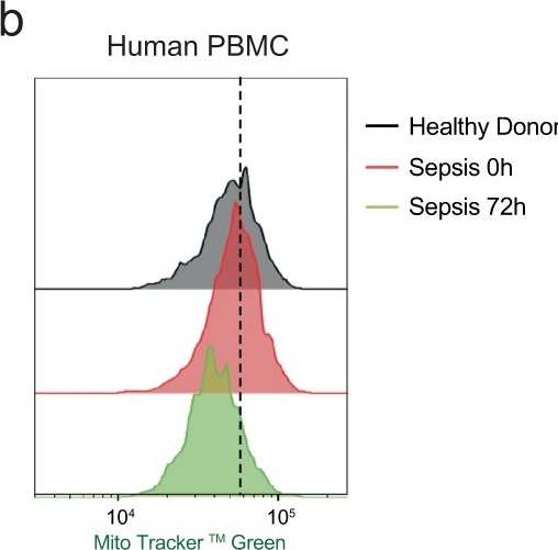 Fig.2.B showing Flow cytometry/Cell sorting in a Homo sapiens (Human) sample from the publication: Inflammatory macrophages reprogram to immunosuppression by reducing mitochondrial translation.