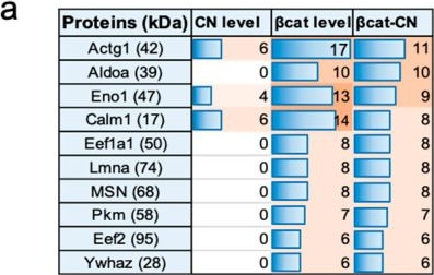 Fig.6.A from the publication: Induced Tumor-Suppressing (iTS) Cell-Based Approach for Protecting the Bone from Advanced Prostate Cancer.