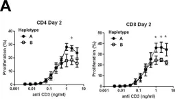 Fig.3.A showing Flow cytometry/Cell sorting in a Homo sapiens (Human) sample from the publication: Lymphocyte Activation Dynamics Is Shaped by Hereditary Components at Chromosome Region 17q12-q21.