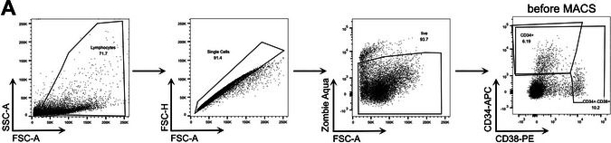 Fig.2.A showing Flow cytometry/Cell sorting in a Homo sapiens (Human) sample from the publication: Humanized Mouse Models of Epstein Barr Virus Infection.