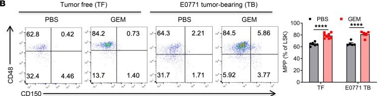 Fig.3.B showing Flow cytometry/Cell sorting in a Mus musculus (House mouse) sample from the publication: Reactive myelopoiesis and FX-expressing macrophages triggered by chemotherapy promote cancer lung metastasis.