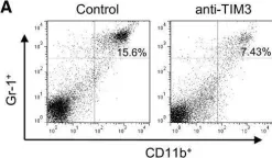 Fig.7.A showing Flow cytometry/Cell sorting from the publication: T-cell immunoglobulin mucin 3 blockade drives an antitumor immune response in head and neck cancer.