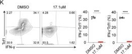 Fig.2.K showing Flow cytometry/Cell sorting in a Mus musculus (House mouse) sample from the publication: Targeting the Mapk13-Tcf1-Slc7a5 Axis via One-Carbon Metabolic Regulation to Prevent Chronic Allograft Vasculopathy.