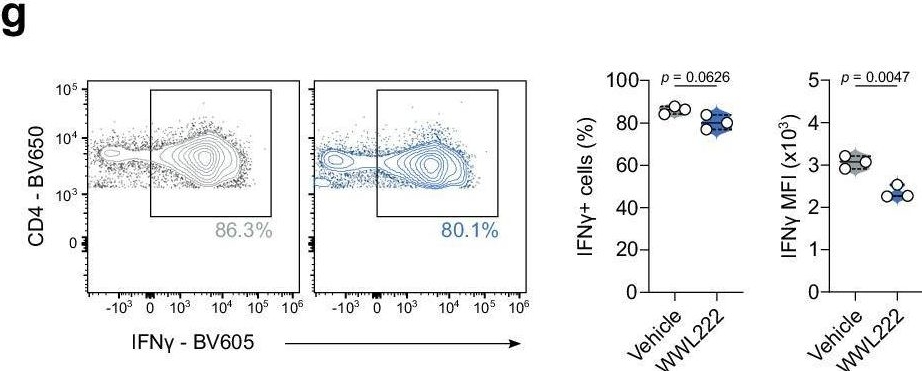 Fig.7.G showing Flow cytometry/Cell sorting from the publication: Mitochondrial ABHD11 inhibition drives sterol metabolism to modulate T-cell effector function.