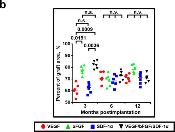 Fig.9.B from the publication: bFGF and SDF-1α Improve In Vivo Performance of VEGF-Incorporating Small-Diameter Vascular Grafts.