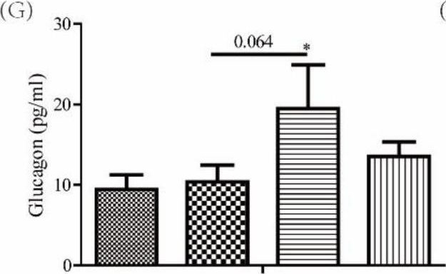 Fig.3.G showing Enzyme-linked immunosorbent assay from the publication: Serpentine Enhances Insulin Regulation of Blood Glucose through Insulin Receptor Signaling Pathway.