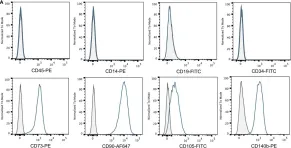 Fig.1.A showing Flow cytometry/Cell sorting in a Homo sapiens (Human) sample from the publication: Neutrophils Inhibit Synthesis of Mineralized Extracellular Matrix by Human Bone Marrow-Derived Stromal Cells In Vitro.