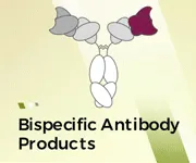 Creative Biolabs