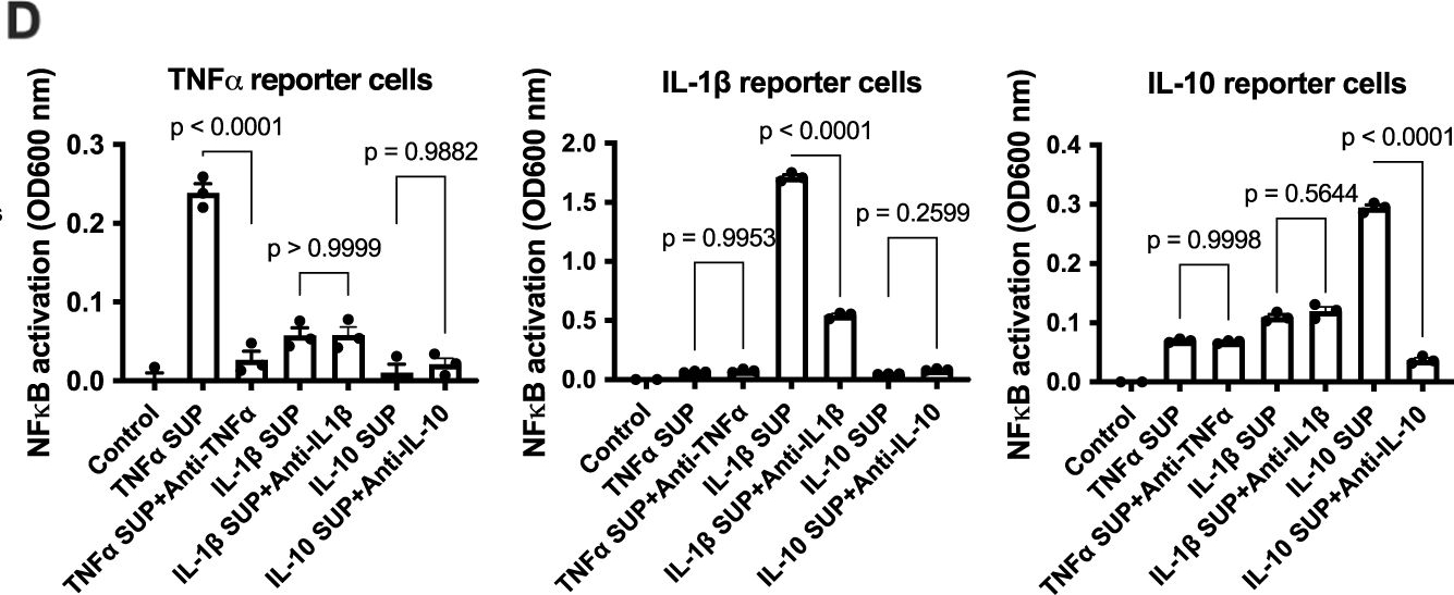 Fig.6.D from the publication: The role of extracellular vesicle fusion with target cells in triggering systemic inflammation.