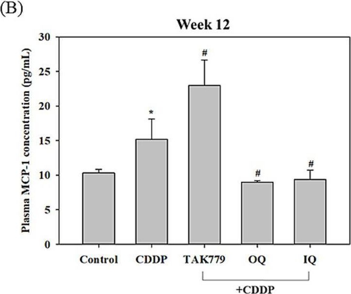 Fig.5.B showing Enzyme-linked immunosorbent assay from the publication: Quercetin attenuates cisplatin-induced fatigue through mechanisms associated with the regulation of the HPA axis and MCP-1 signaling.