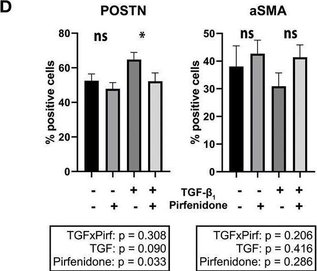 Fig.4.D from the publication: Pirfenidone Has Anti-fibrotic Effects in a Tissue-Engineered Model of Human Cardiac Fibrosis.
