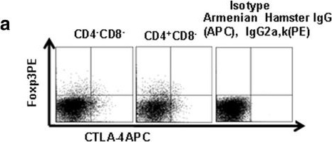 Fig.3.A showing Flow cytometry/Cell sorting in a Mus musculus (House mouse) sample from the publication: CD117+CD44+ Stem T Cells Develop in the Thymus and Potently Suppress T-cell Proliferation by Modulating the CTLA-4 Pathway.
