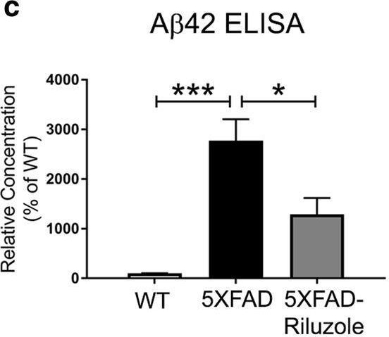Fig.2.C showing Enzyme-linked immunosorbent assay in a Mus musculus (House mouse) sample from the publication: Riluzole reduces amyloid beta pathology, improves memory, and restores gene expression changes in a transgenic mouse model of early-onset Alzheimer's disease.