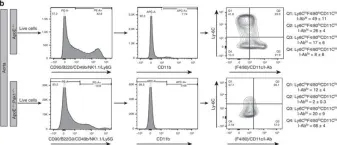 Fig.7.B showing Flow cytometry/Cell sorting in a Mus musculus (House mouse) sample from the publication: Disruption of p21-activated kinase 1 gene diminishes atherosclerosis in apolipoprotein E-deficient mice.