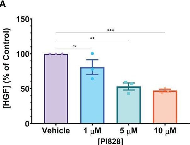 Fig.8.A from the publication: In vitro differentiated human CD4+ T cells produce hepatocyte growth factor.