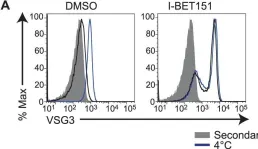 Fig.3.A showing Flow cytometry/Cell sorting from the publication: Bromodomain Proteins Contribute to Maintenance of Bloodstream Form Stage Identity in the African Trypanosome.