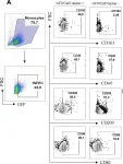 Fig.3.A showing Flow cytometry/Cell sorting in a Homo sapiens (Human) sample from the publication: sCD163 levels as a biomarker of disease severity in leprosy and visceral leishmaniasis.