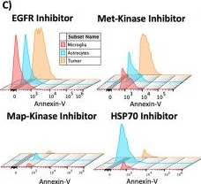 Fig.6.C from the publication: Human neural organoid modeling of diffuse midline glioma captures the complexity of patient tumors.