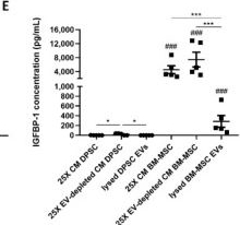 Fig.2.E showing Enzyme-linked immunosorbent assay from the publication: Angiogenic Effects of Human Dental Pulp and Bone Marrow-Derived Mesenchymal Stromal Cells and their Extracellular Vesicles.