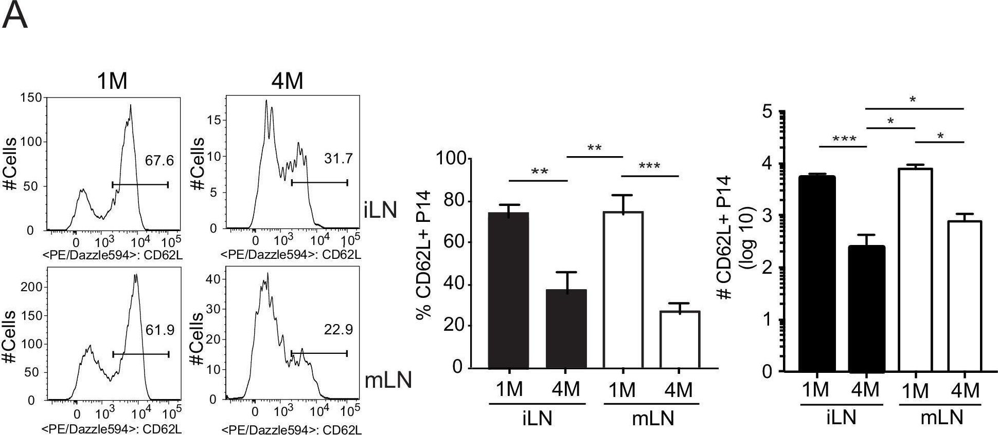 Fig.4.A showing Flow cytometry/Cell sorting from the publication: Protective function and durability of mouse lymph node-resident memory CD8+ T cells.