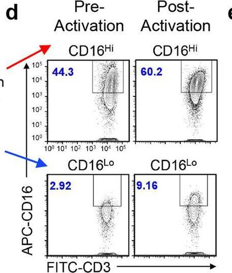 Fig.1.D showing Flow cytometry/Cell sorting in a Homo sapiens (Human) sample from the publication: Unlocking the potential of allogeneic Vδ2 T cells for ovarian cancer therapy through CD16 biomarker selection and CAR/IL-15 engineering.