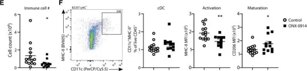 Fig.2.E showing Flow cytometry/Cell sorting in a Mus musculus (House mouse) sample from the publication: Immunoproteasomal Inhibition With ONX-0914 Attenuates Atherosclerosis and Reduces White Adipose Tissue Mass and Metabolic Syndrome in Mice.
