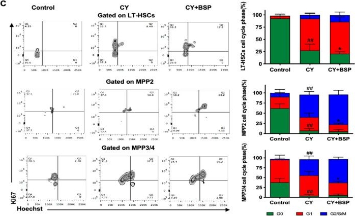 Fig.2.C showing Flow cytometry/Cell sorting from the publication: Bletilla Striata Polysaccharide Alleviates Neutropenia by Promoting C/EBPε-Dependent Hematopoietic Reconstitution.