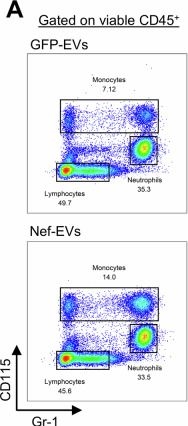 Fig.1.A showing Flow cytometry/Cell sorting in a Mus musculus (House mouse) sample from the publication: HIV-1 Nef generates lasting innate immune memory in haematopoietic stem and progenitor cells in vivo.