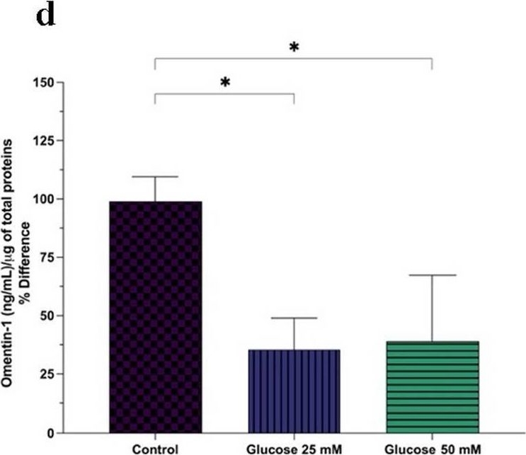 Fig.5.D showing Enzyme-linked immunosorbent assay from the publication: The potential role of omentin-1 in obesity-related metabolic dysfunction-associated steatotic liver disease: evidence from translational studies.