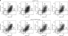 Fig.5.B showing Flow cytometry/Cell sorting in a Mus musculus (House mouse) sample from the publication: Methylation of a CGATA element inhibits binding and regulation by GATA-1.
