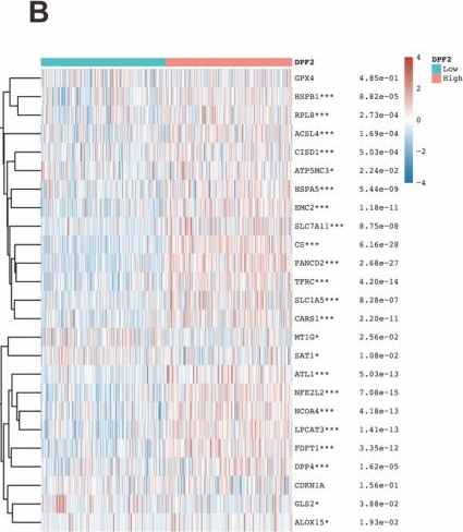 Fig.7.B showing Immunohistochemistry from the publication: DPF2 overexpression correlates with immune infiltration and dismal prognosis in hepatocellular carcinoma.