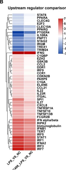 Fig.4.B from the publication: Bioactive compound C498-0670 alleviates LPS-induced sepsis via JAK/STAT and NFκB signaling pathways.