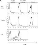 Fig.9.A showing Flow cytometry/Cell sorting from the publication: Development of functional human NK cells in an immunodeficient mouse model with the ability to provide protection against tumor challenge.
