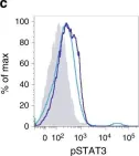 Fig.3.C showing Flow cytometry/Cell sorting in a Mus musculus (House mouse) sample from the publication: Microbiota-driven interleukin-17-producing cells and eosinophils synergize to accelerate multiple myeloma progression.