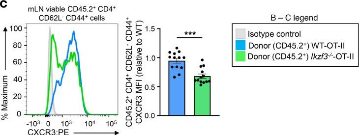 Fig.3.C showing Flow cytometry/Cell sorting in a Mus musculus (House mouse) sample from the publication: Aiolos promotes CXCR3 expression on Th1 cells via positive regulation of IFN-γ/STAT1 signaling.