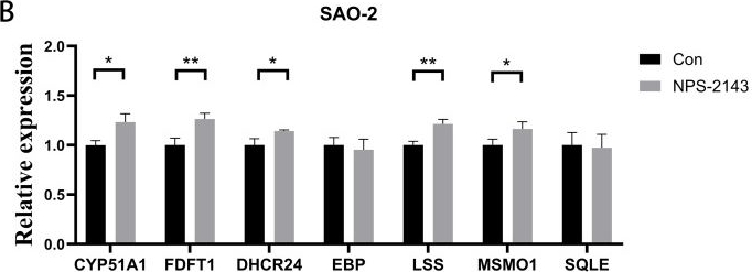 Fig.4.B from the publication: Cholesterol and steroid synthesis pathways may be involved in the inhibition of osteosarcoma cell viability by calcium-sensing receptor antagonism.