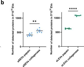 Fig.2.B showing Flow cytometry/Cell sorting from the publication: Stratification of brain-derived extracellular vesicles of Alzheimer's disease patients indicates a unique proteomic content and a higher seeding capacity of small extracellular vesicles.